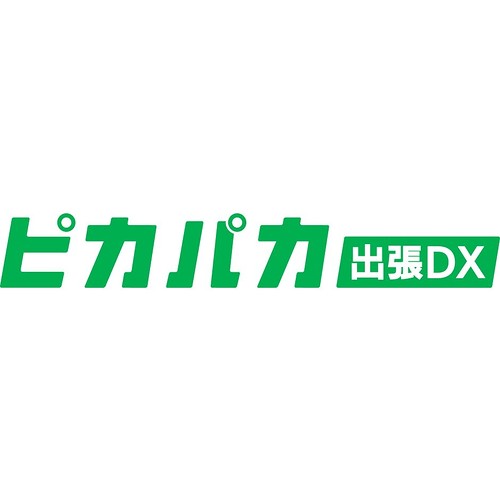 ピカパカ出張DX
